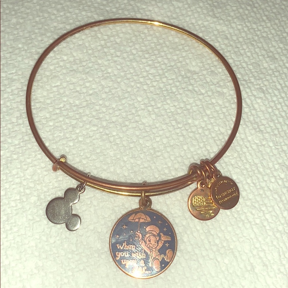 Alex and Ani When You Wish Upon. A Star Bracelet